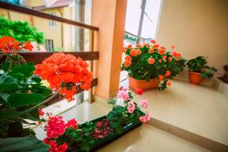 Гостиница Лора Адлер-6